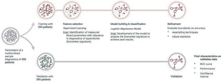 Bild: OakLabs und die Charité veröffentlichen Modell zur verbesserten Diagnostik bei akuter Blinddarmentzündung