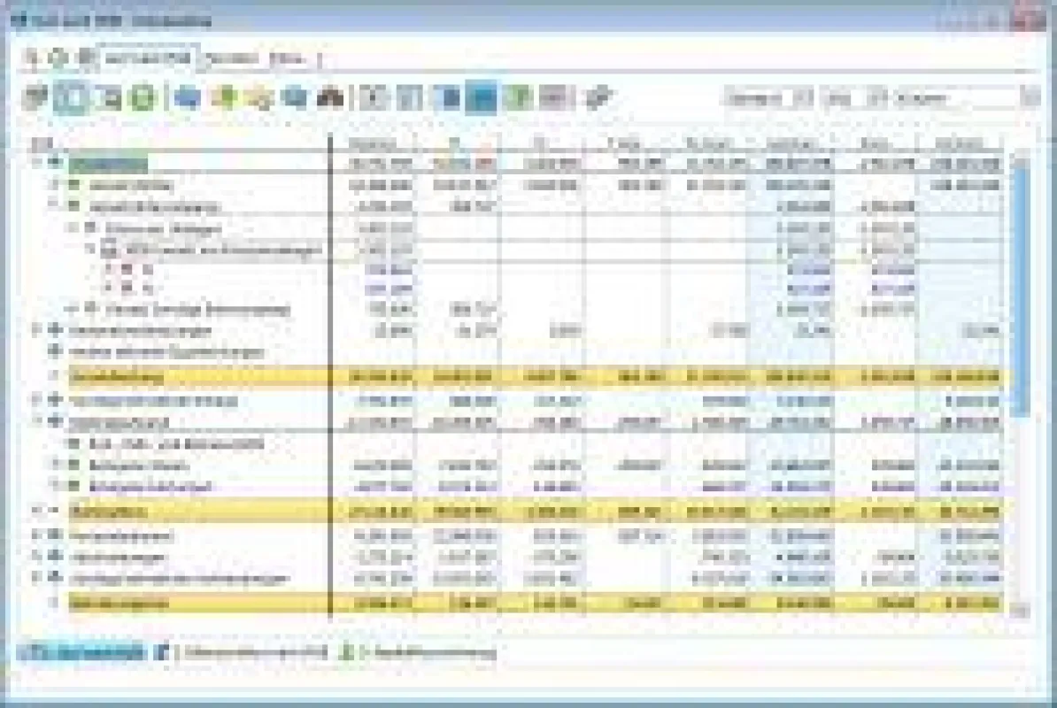 LucaNet.Financial Consolidation