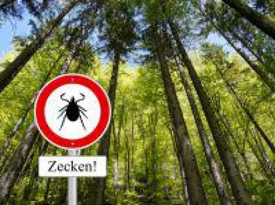 Bild: Frühwarnsystem nach einem Zeckenstich - Schützen Sie sich vor Borreliose