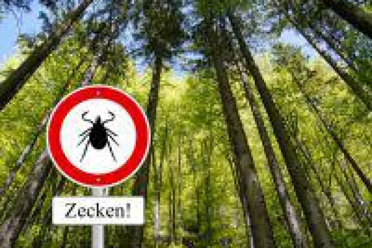 Bild: Frühwarnsystem nach einem Zeckenstich - Schützen Sie sich vor Borreliose