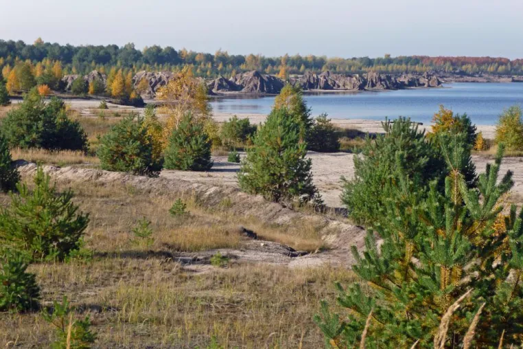 Vom Tagebau zum Naturparadies Bild: Vom Tagebau zum Naturparadies