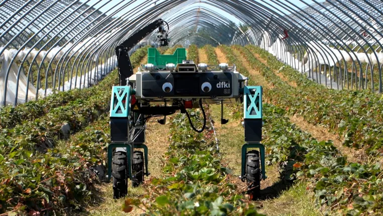 KI-Exzellenz: DFKI präsentiert autonome Robotik und 6G-Vernetzung auf der German Robotics Conference Bild: KI-Exzellenz: DFKI präsentiert autonome Robotik und 6G-Vernetzung auf der German Robotics Conference