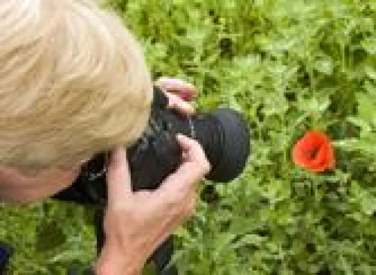 Bild: Mit der Kamera unterwegs auf Mallorca - Foto-Workshop
