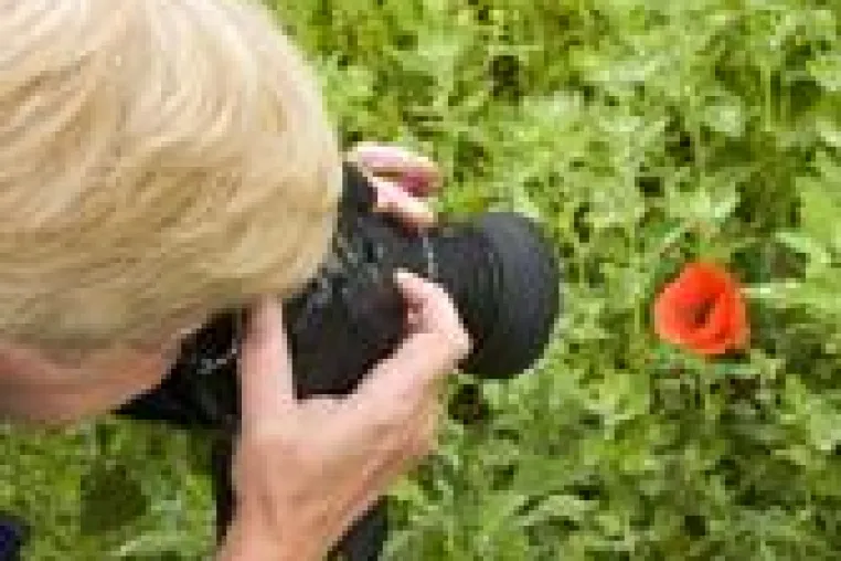 Mit der Kamera unterwegs auf Mallorca - Foto-Workshop Bild: Mit der Kamera unterwegs auf Mallorca - Foto-Workshop