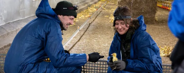 Bild: ANINOVA rettet Entenküken aus Mastanlage mit Unterstützung von Schauspieler und Aktivist Daniel Noah