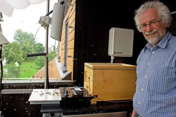 Bild: Fahndung nach den Bienenkillern - Lerneinheiten nun online, Arbeitsbuch in Planung