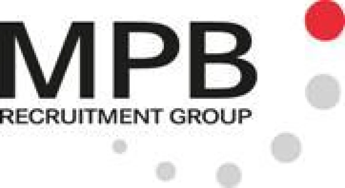 Executive Search