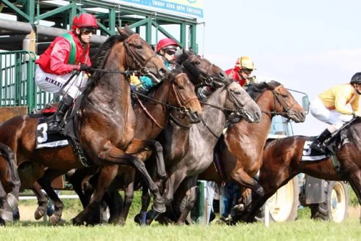 Gesucht wird - die schnellste Stute über 1300 Meter im htp-Cup Bild: Gesucht wird - die schnellste Stute über 1300 Meter im htp-Cup