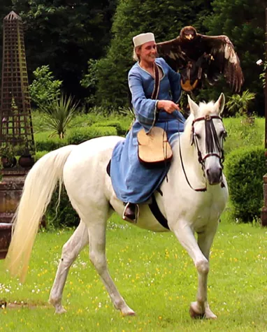 Bild: Falknerei zu Pferde auf Burg Gamburg