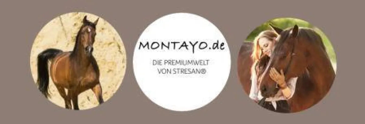 www.montayo.de