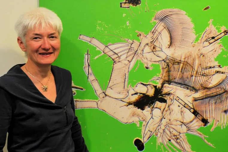 Bild: Stilgalerie präsentiert „Reise in den Mikrokosmos“ von Beate Maatsch