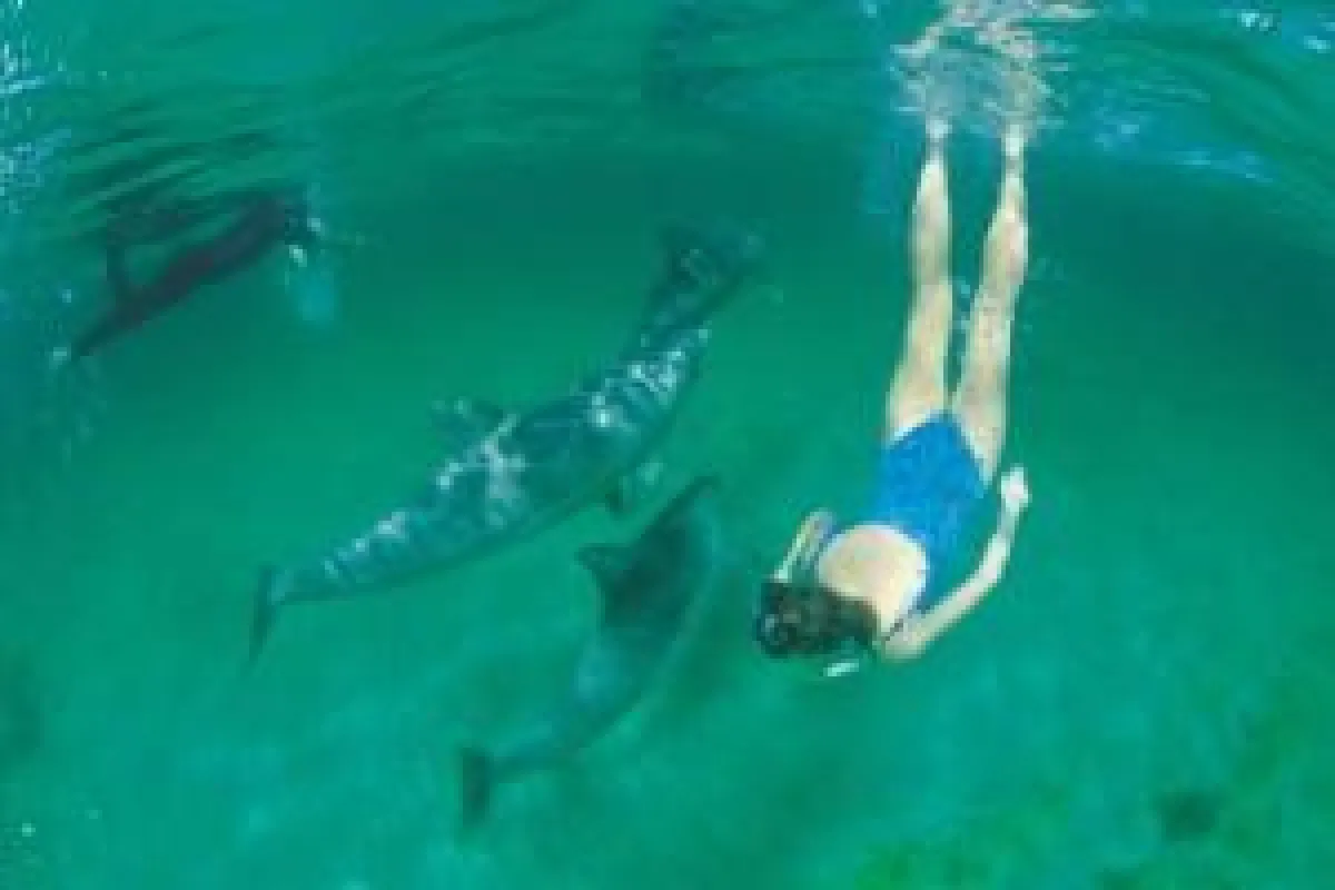 Ungetrübte Urlaubsfreuden in South Australia