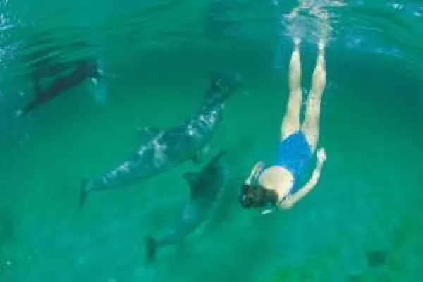 Bild: South Australia punktet mit „Clean Green Tourism“