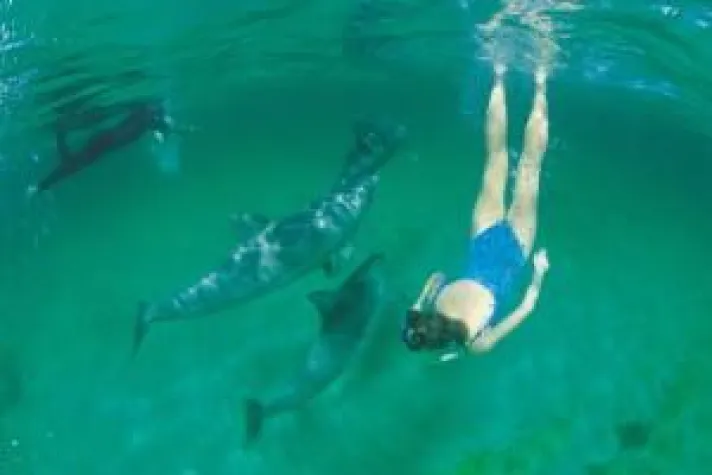 South Australia punktet mit „Clean Green Tourism“ Bild: South Australia punktet mit „Clean Green Tourism“