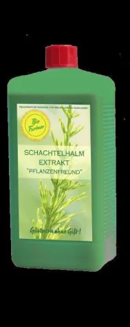 Bild: Mehltau vorbeugen durch die Behandlung mit Pflanzenextrakten