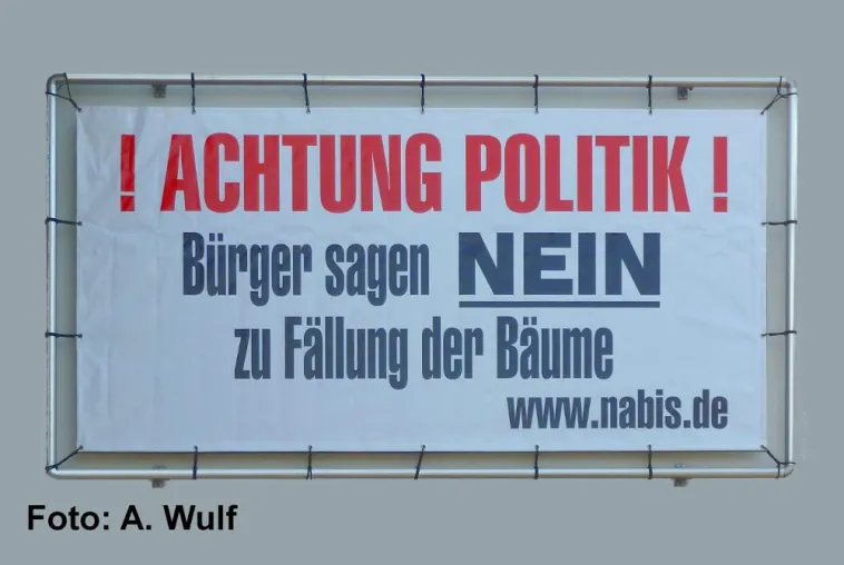 Bild: Fahrverbote in Köln: Ohne Bäume keine Diesel !