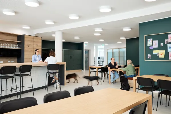 Bild: combine Consulting entwickelt neue Arbeitswelten für zooplus in München