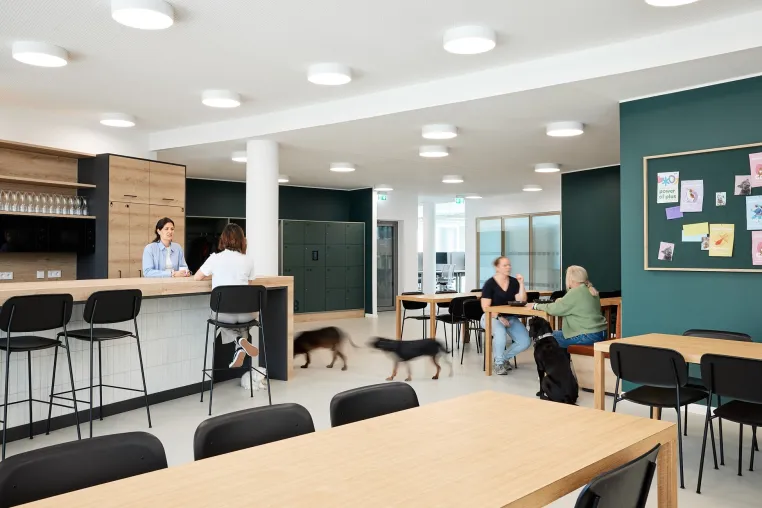 combine Consulting entwickelt neue Arbeitswelten für zooplus in München Bild: combine Consulting entwickelt neue Arbeitswelten für zooplus in München