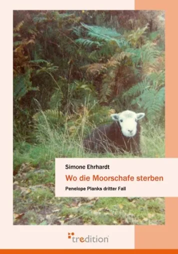 Bild: Mit Grips und Gottes Hilfe