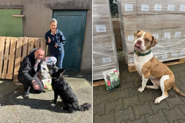 Bild: 15 Tonnen Mera-Trockenfutter für sechs Tierheime: Martin Markowsky versorgt mehr als 500 Hunde bundesweit
