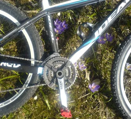 Bild: Mountainbike-Profi Sandra Klose bloggt über Operation und Reha nach Kreuzbandriss – knie-reha-blog.de