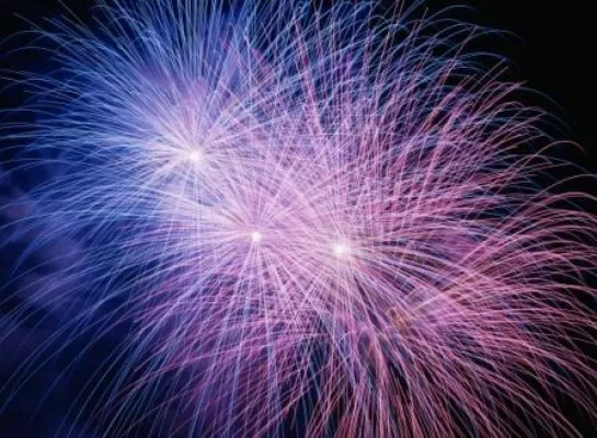 Bild: Japan-Tag in Düsseldorf - Japanisches Feuerwerk thematisiert Düsseldorfs Weltoffenheit
