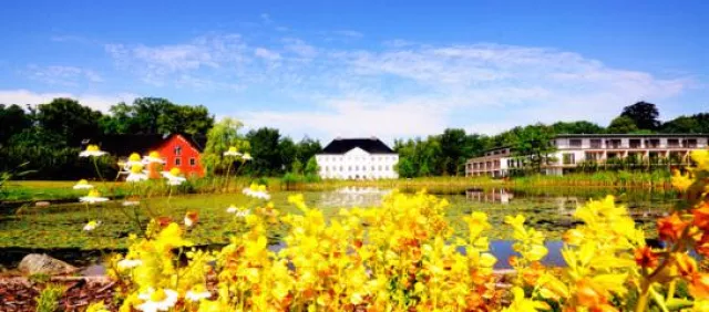 Bild: Tipp: Last Minute Arrangement im Hotel schlossgut gross schwansee buchen