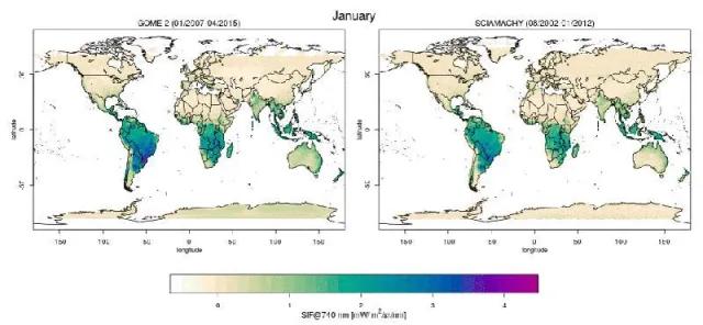 Bild: Satelliten erfassen Photosynthese mit hoher Auflösung