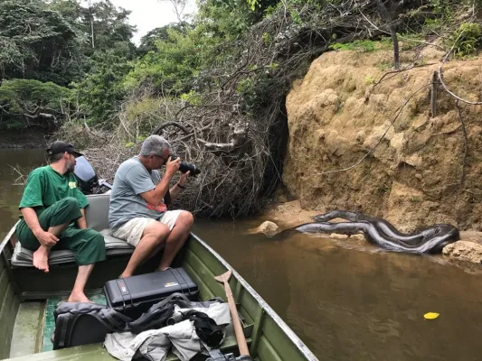 Bild: Der Luxus ungezähmter Natur – Mapari Wilderness Camp: Dschungel-Abenteuer in Guyanas Regenwald