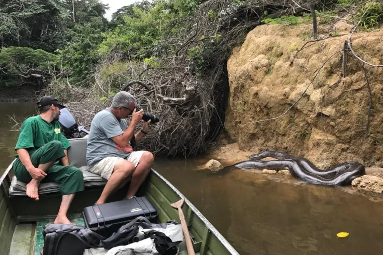 Bild: Der Luxus ungezähmter Natur – Mapari Wilderness Camp: Dschungel-Abenteuer in Guyanas Regenwald