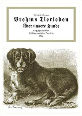 Bild: Brehms Tierleben: Über unsere Hunde