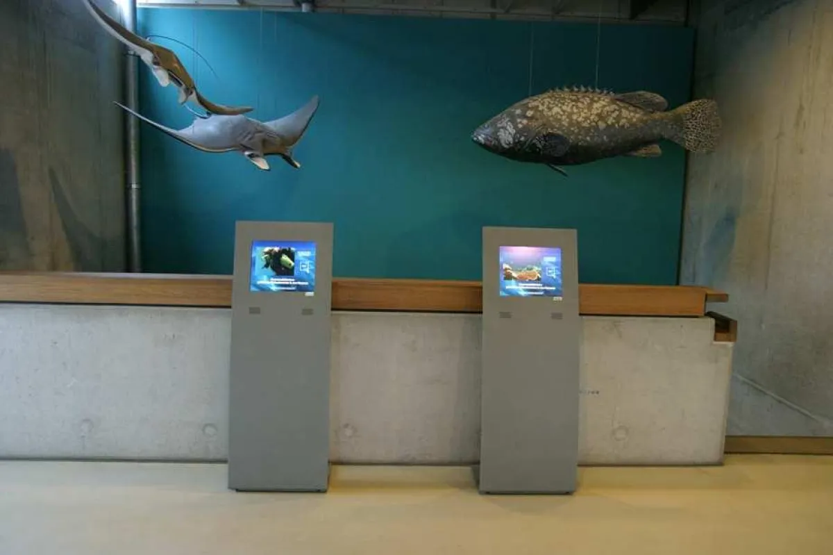 Abida-Terminals im Dt.Meeresmuseum mit DS-Client