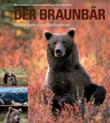 Bild: Neuerscheinung im Haupt Verlag: Der Braunbär