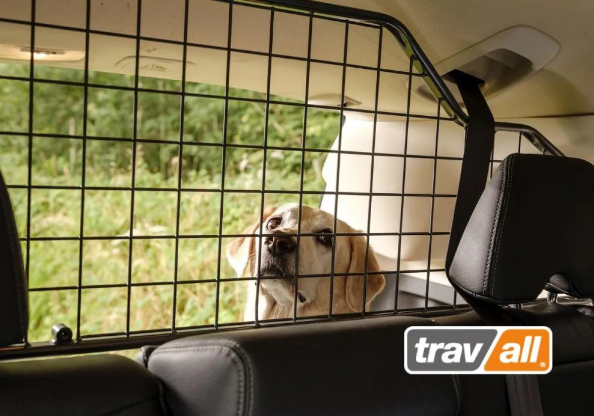 Mit einem Trenngitter ist der Hund auch im Kleinwagen optimal gesichert. © Travall