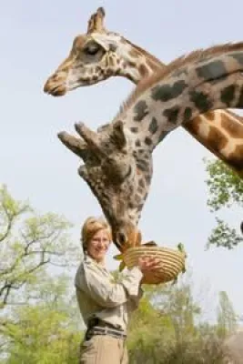 Bild: Giraffenbulle Schorse feiert 25. Geburtstag im Erlebnis-Zoo Hannover