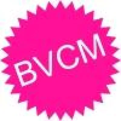 Bild: Bundesverband Community Management e.V. arbeitet an Zertifizierungssystem für Seminaranbieter