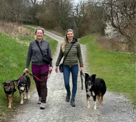 Bild: Neue Hundeschule "HundeZeit - Hundetraining im Bottwartal" eröffnet - BW - Landkreis Ludwigsburg - Heilbronn