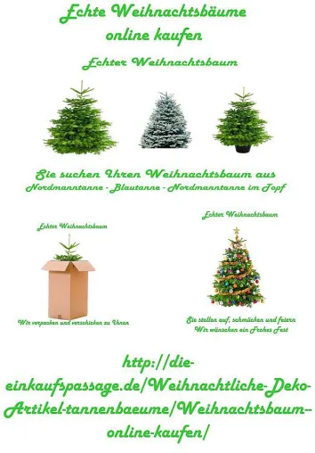 Die schönsten Weihnachten - mit unseren echten Weihnachtsbäumen Bild: Die schönsten Weihnachten - mit unseren echten Weihnachtsbäumen