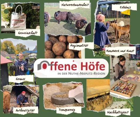Bild: 4. Mai 2025: Tag der Offenen Höfe in der Nuthe-Nieplitz-Region – Landwirtschaft, Handwerk & Genuss erleben