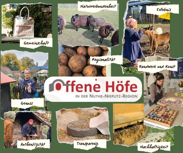 4. Mai 2025: Tag der Offenen Höfe in der Nuthe-Nieplitz-Region – Landwirtschaft, Handwerk & Genuss erleben Bild: 4. Mai 2025: Tag der Offenen Höfe in der Nuthe-Nieplitz-Region – Landwirtschaft, Handwerk & Genuss erleben