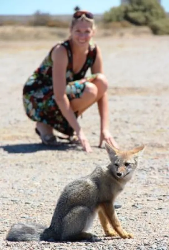 Ganz vorsichtig nähert sich Martina Hirschmeier dem kleinen Fuchs.
