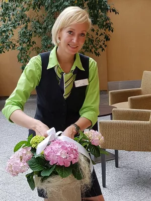 Bild: Hochzeit auf Rügen: Zwischen Torten und Terminen