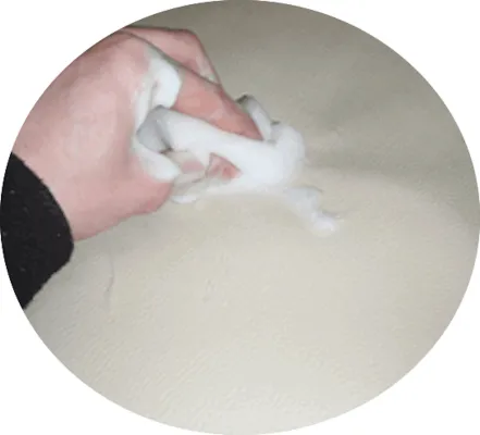 Bild: Leder Intensivreinigung & Konditionierung