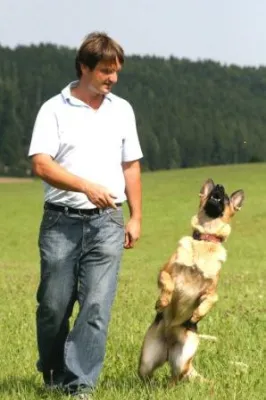 Bild: Innovatives Hundezentrum TEAMCANIN im Südschwarzwald - Partnerschaft zwischen Mensch und Hund