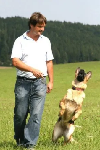 Bild: Innovatives Hundezentrum TEAMCANIN im Südschwarzwald - Partnerschaft zwischen Mensch und Hund
