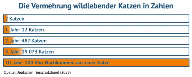 Bild: Aktion „Katze kastrieren“: vs vergleichen-und-sparen GmbH macht sich stark für das Tierwohl