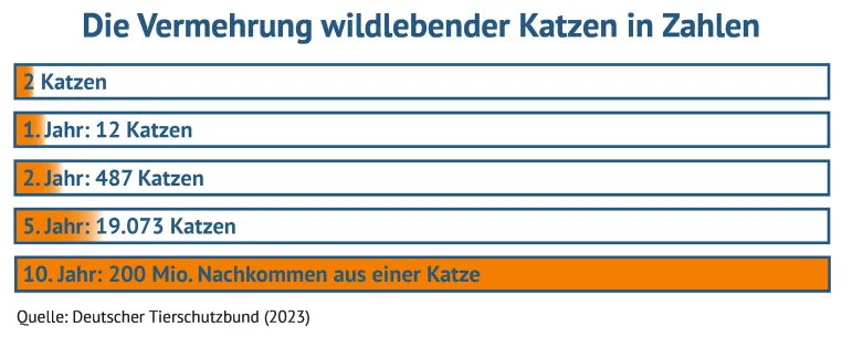 Bild: Aktion „Katze kastrieren“: vs vergleichen-und-sparen GmbH macht sich stark für das Tierwohl