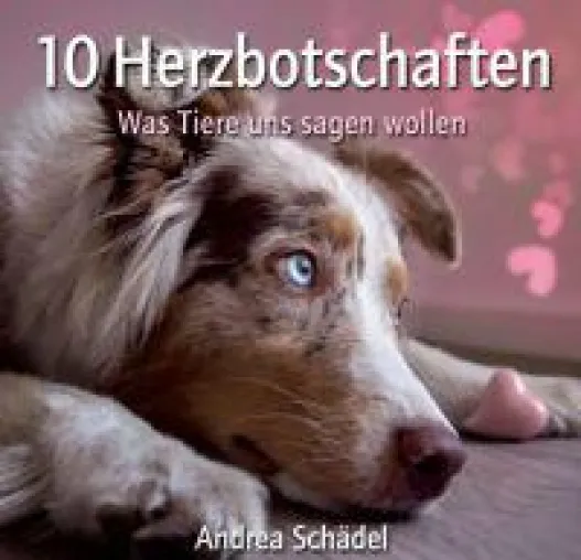 Bild: 10 Herzbotschaften - wecken Sie mit Tierbotschafen Ihre verlorengegangene Lebensenergie