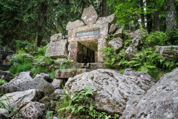 Was wäre, wenn…? So wäre die Welt ohne das Fichtelgebirge Bild: Was wäre, wenn…? So wäre die Welt ohne das Fichtelgebirge