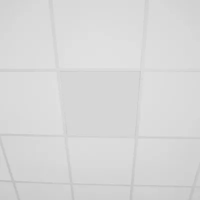 Bild: Die Infrarotheizung für Rasterdecken, Odenwalddecken | VASNER InfraRaster